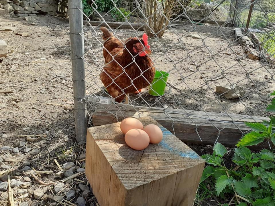 Penzion Mala Farma Nemojany Dış mekan fotoğraf