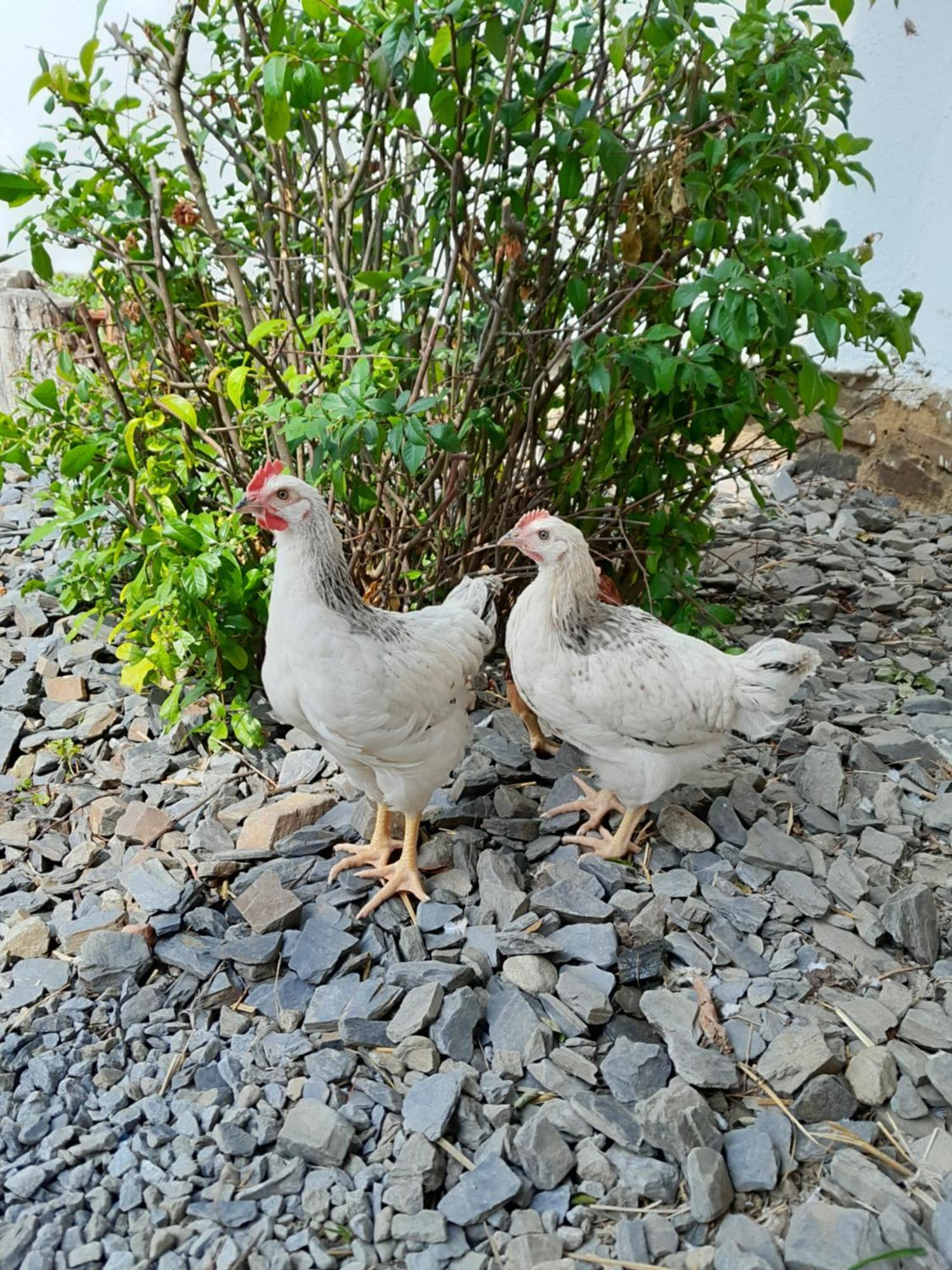 Penzion Mala Farma Nemojany Dış mekan fotoğraf